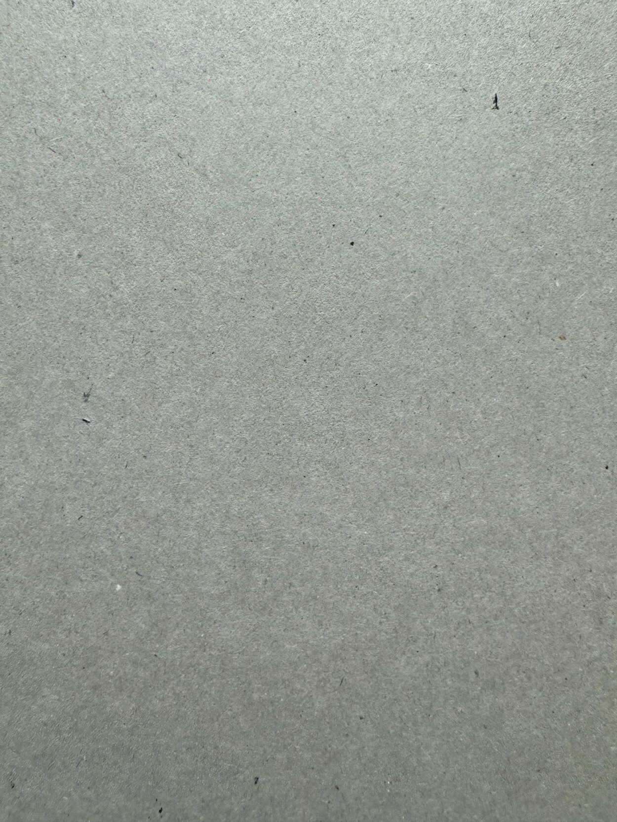 Carton Gris Satinado 